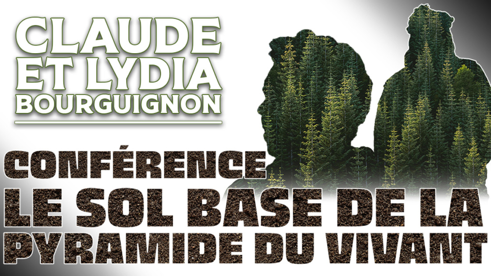 Conférence : le sol, base de la pyramide du vivant