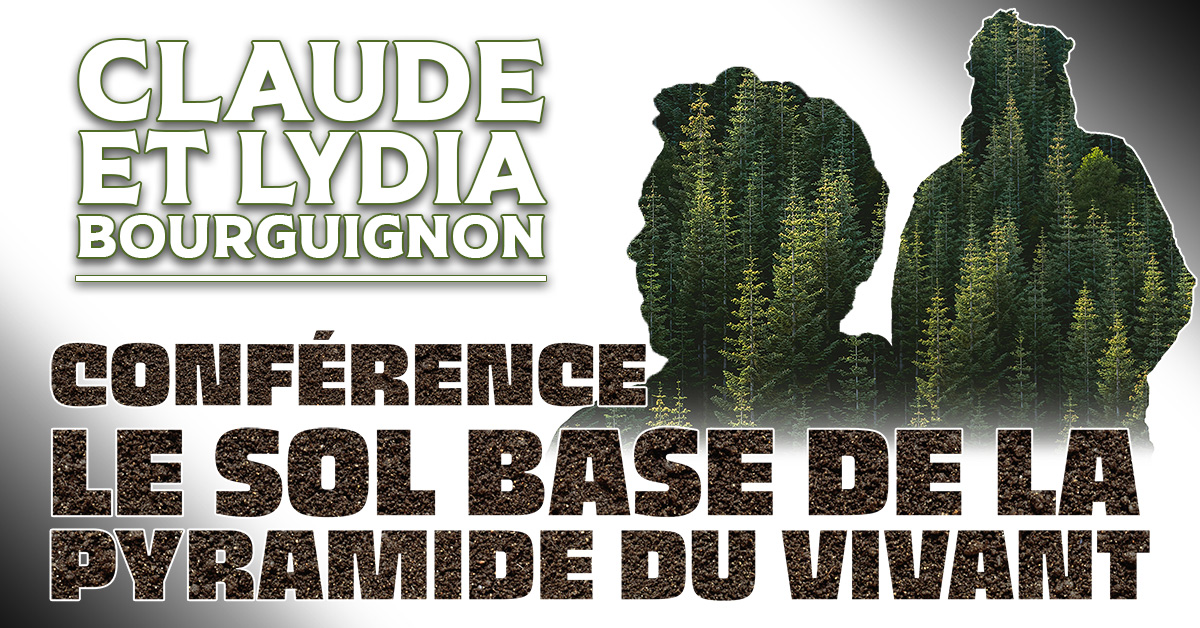 Conférence : le sol, base de la pyramide du vivant