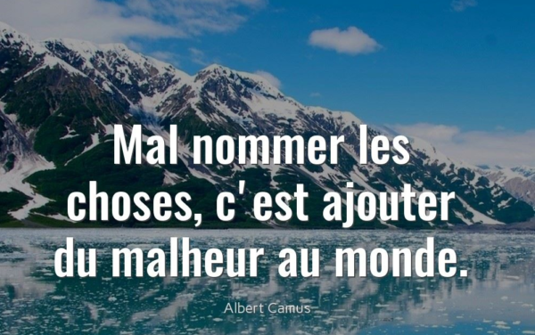 GÉNOCIDE SÉMANTIQUE - POUR.press