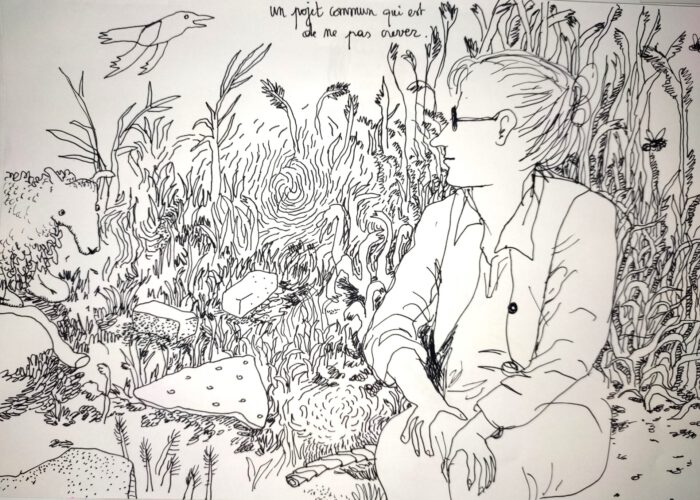 L'agroforesterie selon Agnès Sourisseau en petits dessins et longs discours