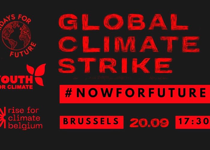 Global Climate Strike - #NowForFuture