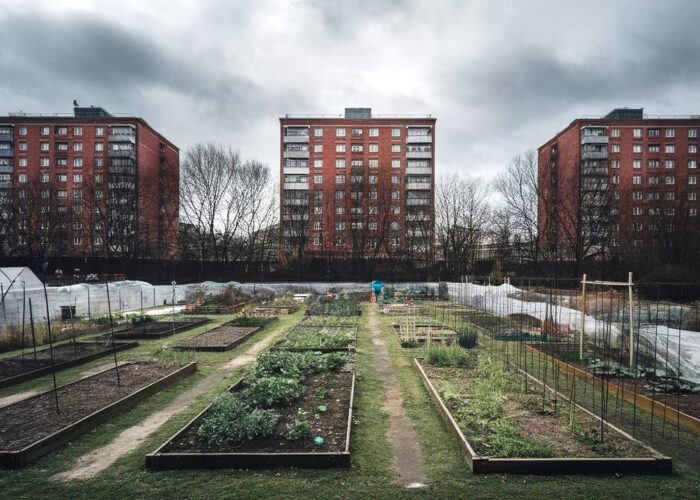 Défendre les jardins ouvriers, ou la lutte pour une ville vivante