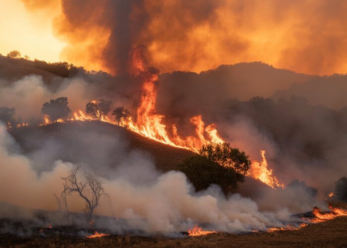 Le changement climatique coûte la vie à des millions de personnes chaque année