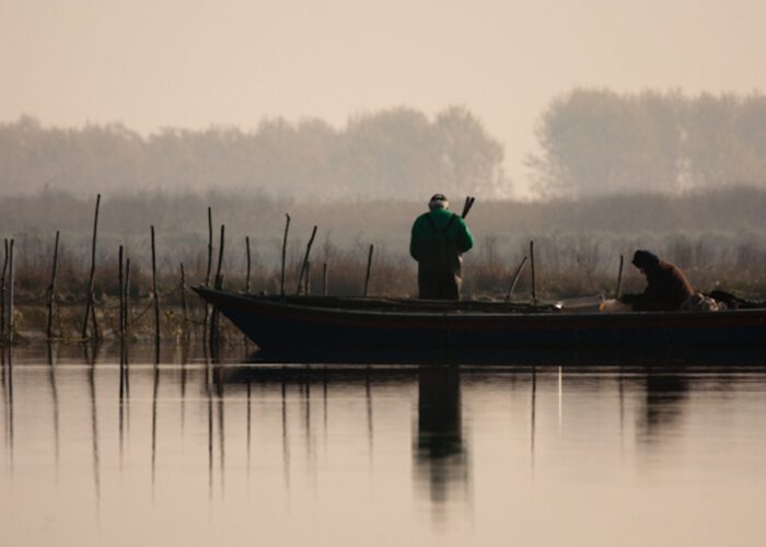 Depuis le delta du Pô, regarder en face la crise climatique