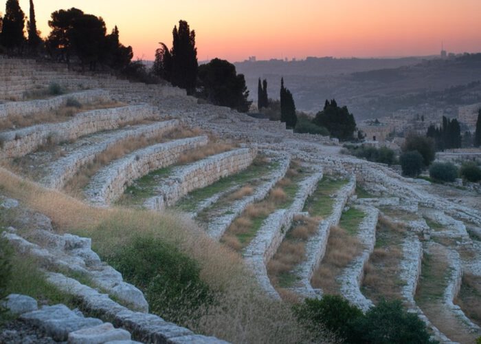 Palestine, résistance sur la terre. Entretien avec Mauro Van Aken