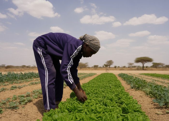 Journée internationale des luttes paysannes