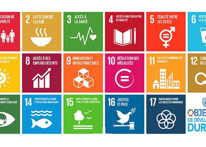L’impuissance systémique des objectifs de développement durable