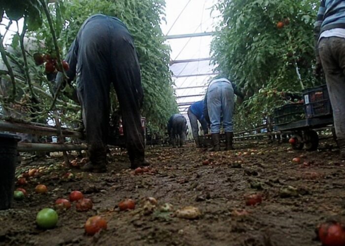 Automne chaud pour les travailleurs agricoles dans l'UE