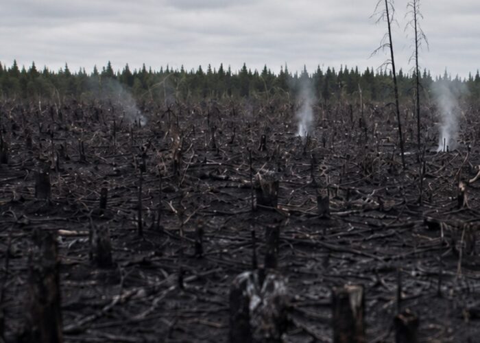 Le lent réveil de la Belgique face aux feux de forêt